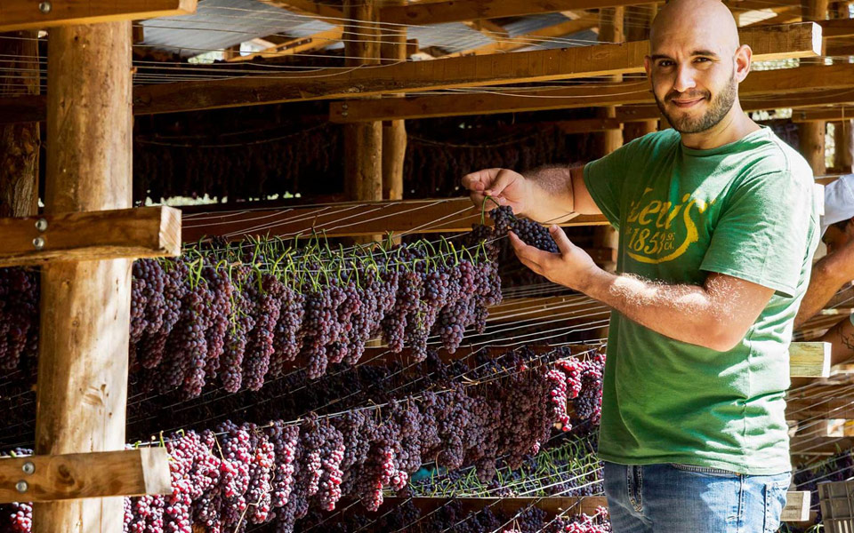 βιολογικέs-σταφίδεs-υπό-σκιάν-2182321