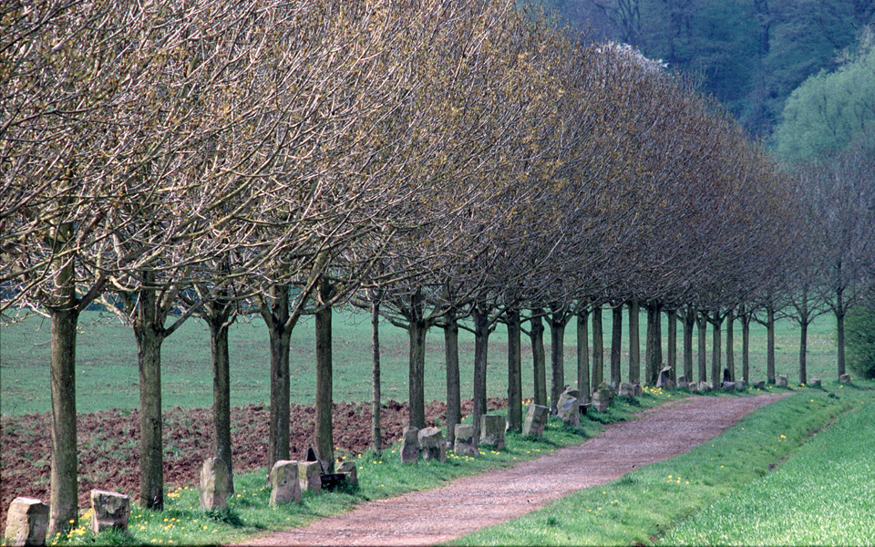 μαθαίνοντας-από-το-κάσελ-2181559