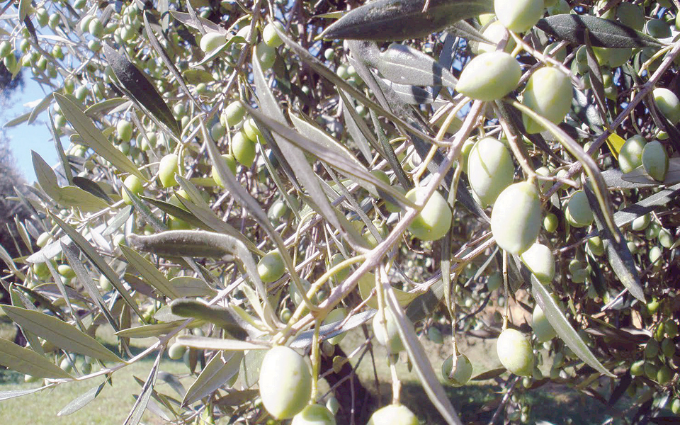 πρόγραμμα-μείωσης-της-ρύπανσης-του-νε-2183174