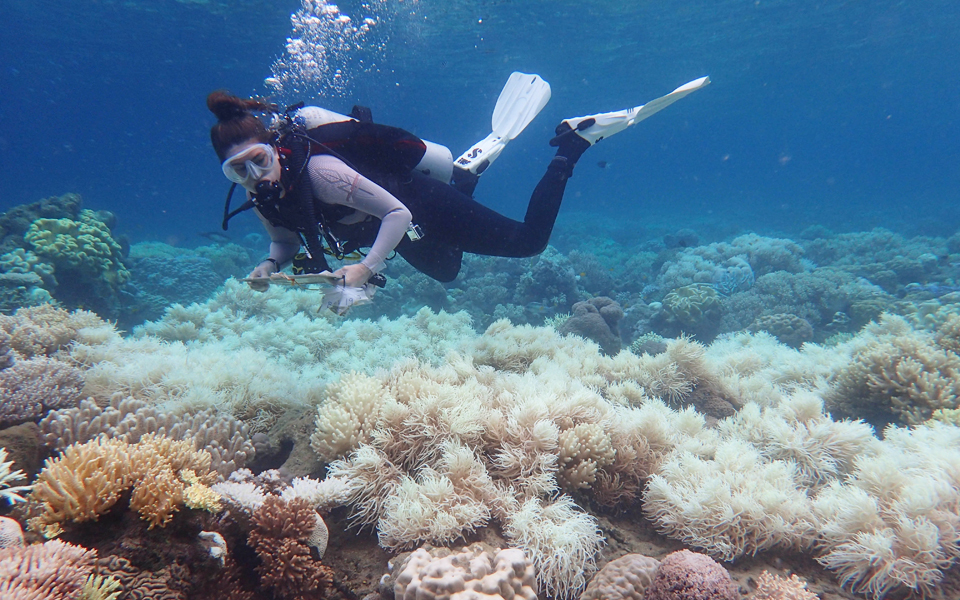 ανάγκη-άμεσης-δράσης-στον-μεγάλο-υφαλ-2184804