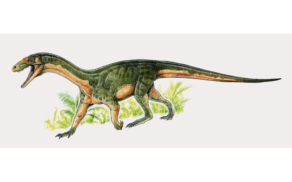 ο-χαμένος-κρίκος-δεινοσαύρων-κροκ-2185429