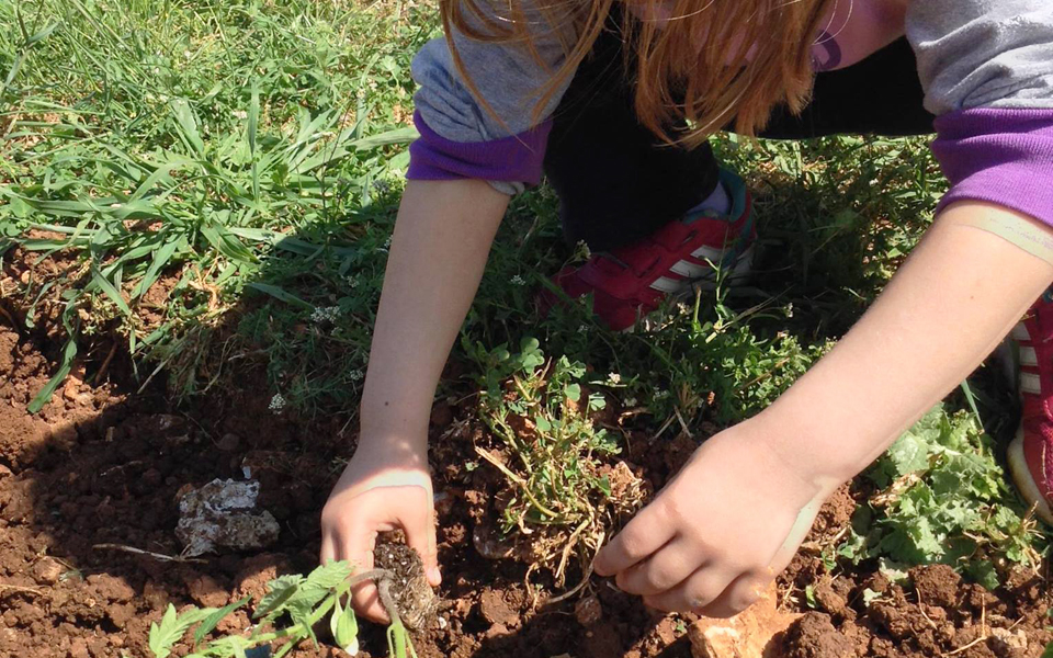 καλλιεργώντας-ένα-περιβόλι-για-καλό-σ-2186472