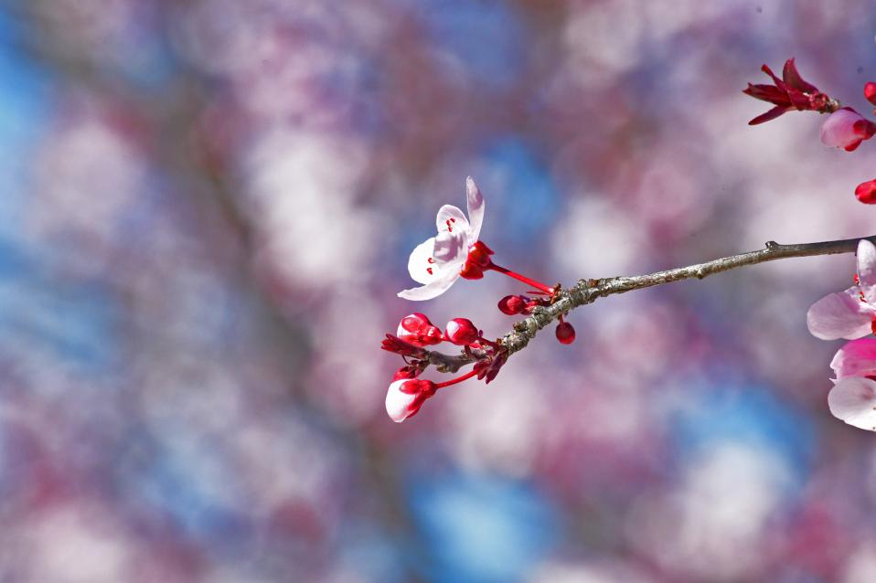 nasa-ο-δεύτερος-πιο-ζεστός-μάρτιος-τα-τελε-2185564