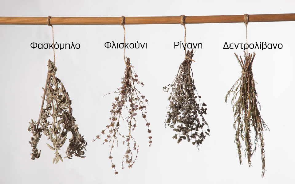 στα-κυκλαδίτικα-βοτανοχώραφα-2185699