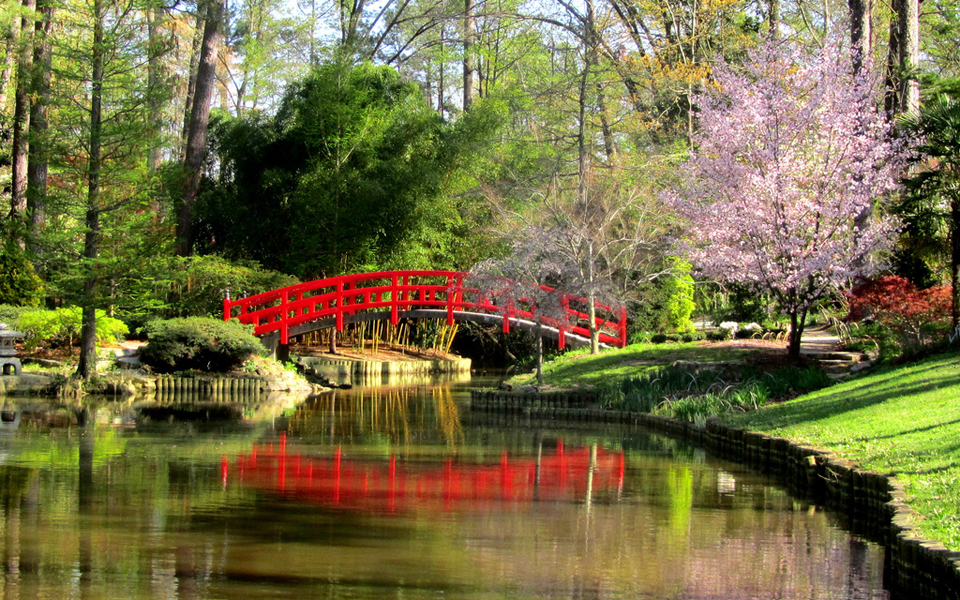 β-καρολίνα-σπουδές-σε-ονειρικό-τοπίο-2186248
