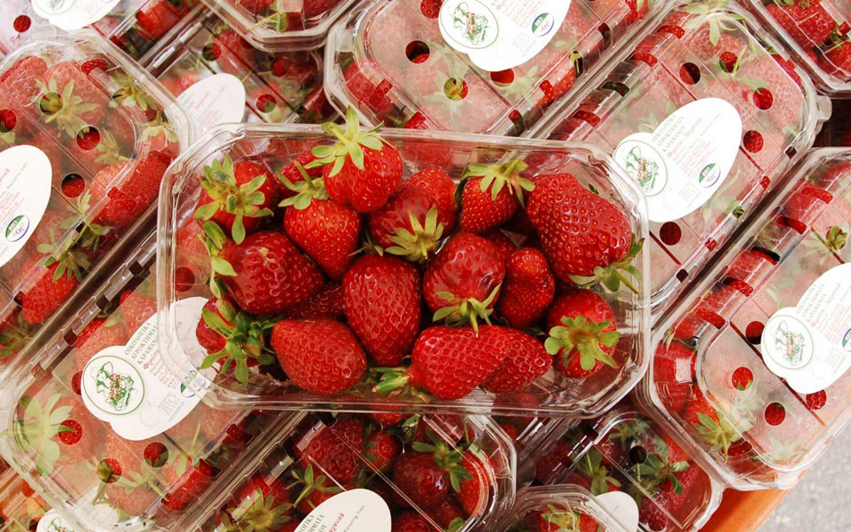 οι-φράουλες-2186662