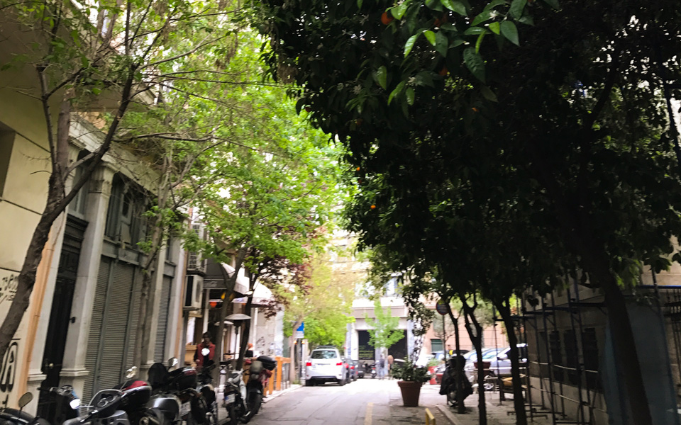 το-άρωμα-του-πάσχα-στην-ανθίμου-γαζή-2185193