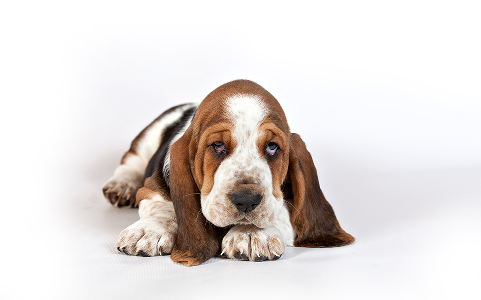 περί-αφανών-ηρώων-2185281