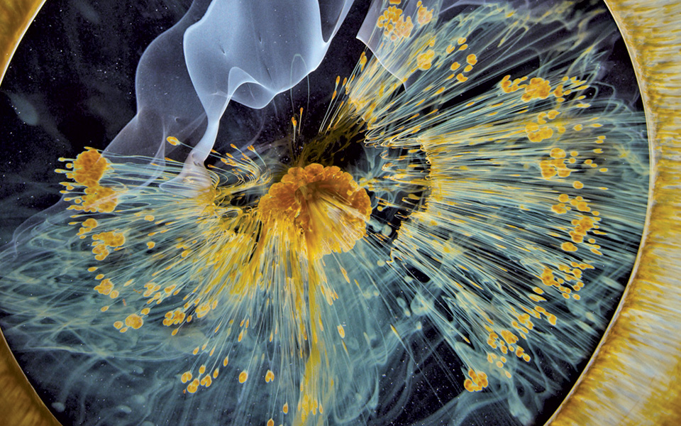 διαστημική-εμπειρία-με-τον-τέρενς-μ-2184233