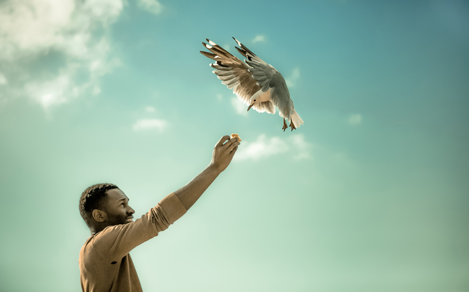 η-πολιτιστική-ατζέντα-της-τετάρτης-2188035