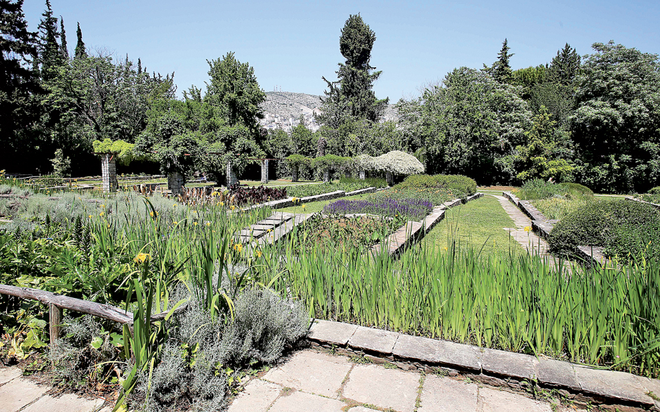 η-κρυμμένη-άγρια-φύση-του-χαϊδαρίου-β-2188745