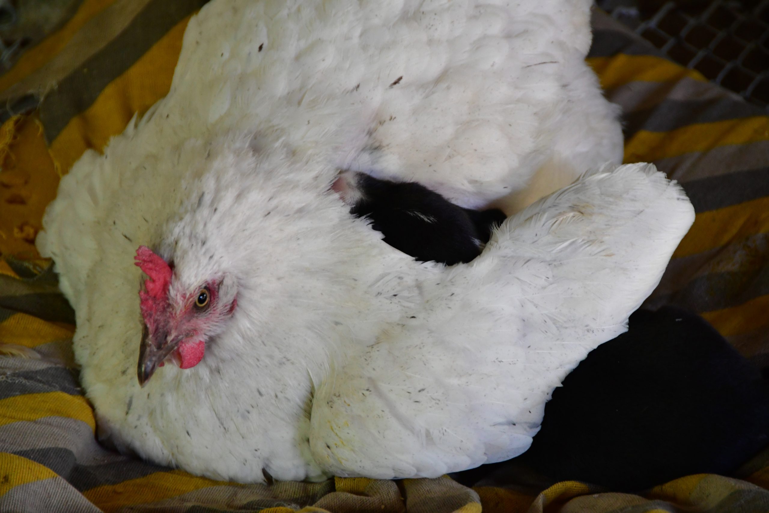 φωτογραφήματα-2189778