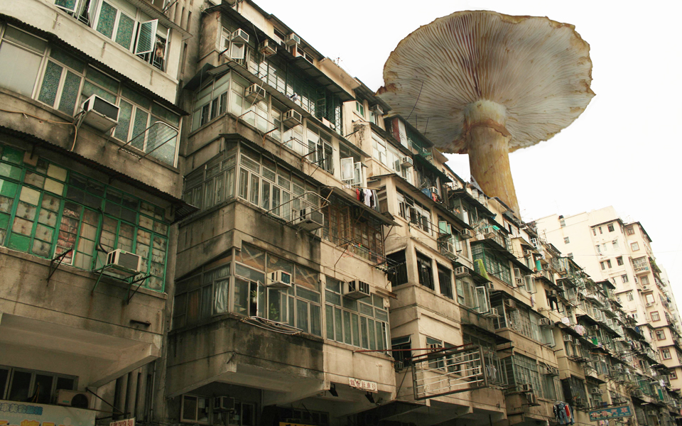 η-πολιτιστική-ατζέντα-της-τρίτης-2190253