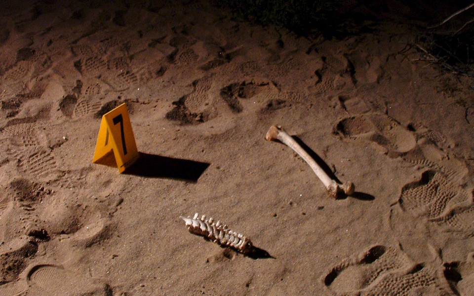 φόνοι-γυναικών-2188263