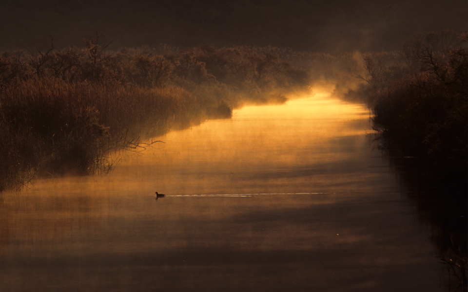 δίκτυο-natura-25-χρόνια-προστασίας-των-φυσικ-2191000