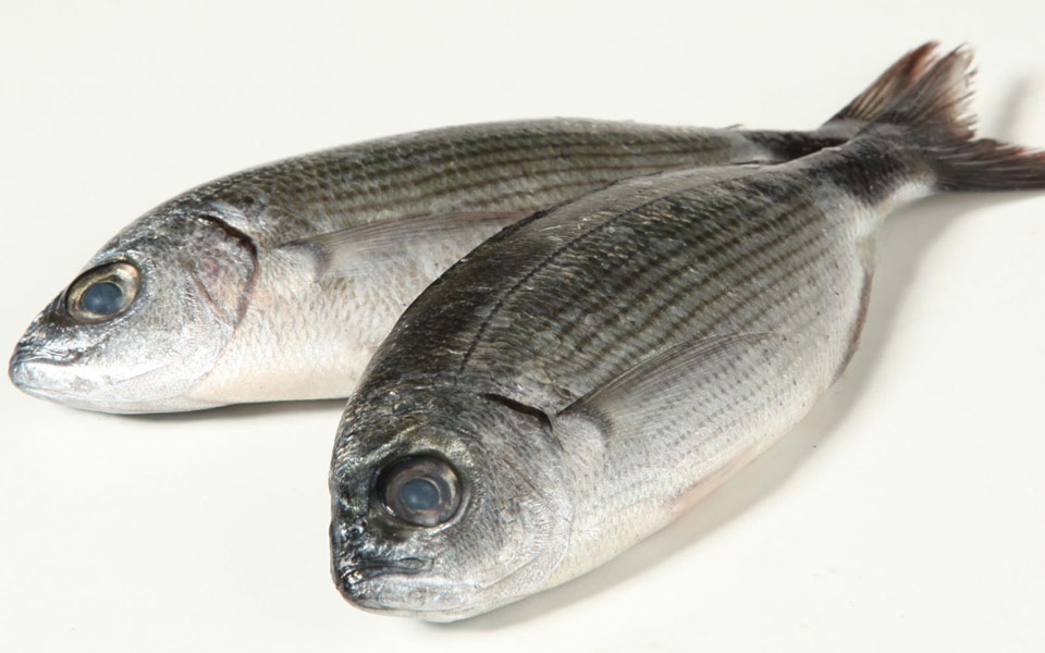 μελανούρι-φρέσκο-νόστιμο-και-άπαχο-2192360