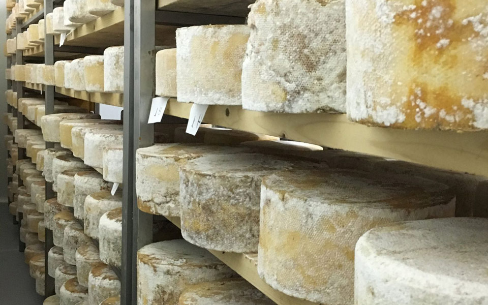 τα-πικάντικα-της-σύρου-2188907