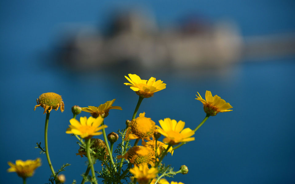 πρωτομαγιά-τα-έθιμα-το-μαγιάτικο-στεφ-2187647