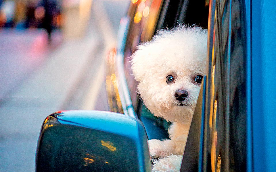 η-ρουτίνα-σκοτώνει-2190598