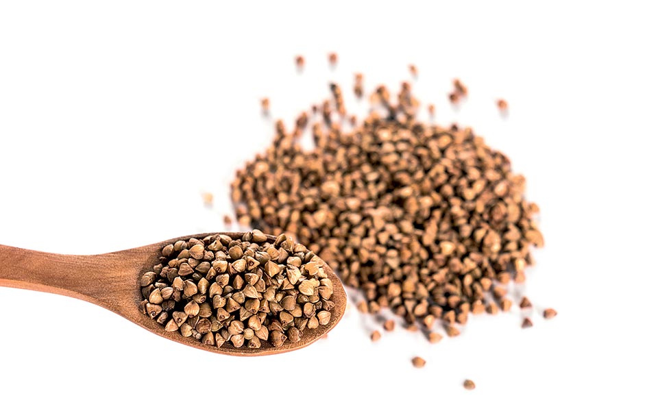 από-το-τραπέζι-των-αρχαίων-ελλήνων-2190834