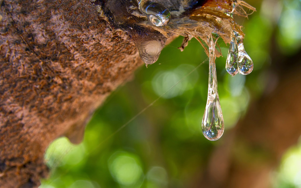 κοκτέιλ-τέχνης-2188236