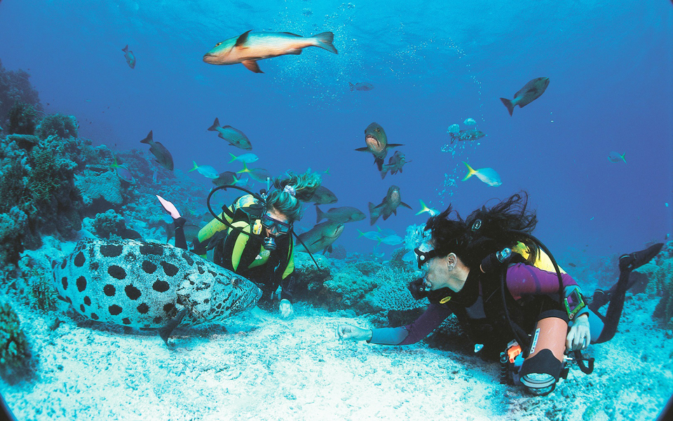 η-πολιτιστική-ατζέντα-της-πέμπτης-2192909