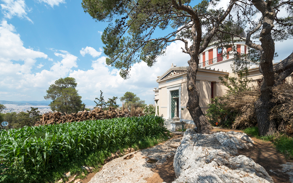 mια-νέα-ζούγκλα-στην-αθήνα-2193247