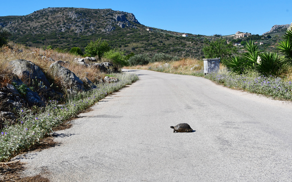 οι-ψήφοι-των-νέων-2193322