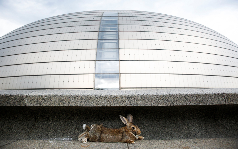 ιδιο-λάθος-ίδια-άγνοια-2194202