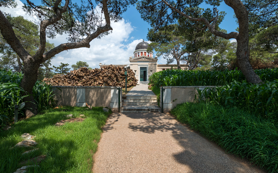 εξαφανισμένοι-ανάμεσα-στα-φυτά-2195401