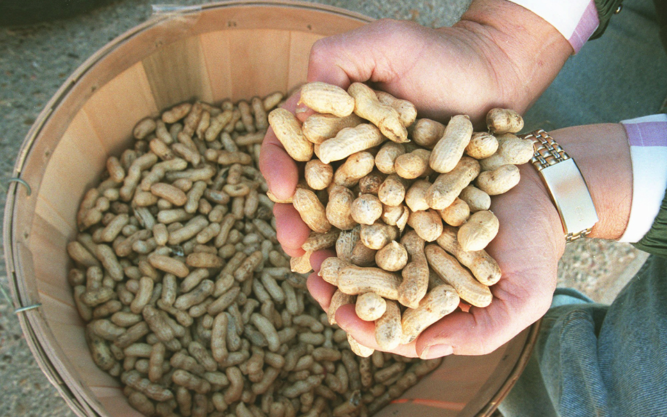 ο-ρόλος-της-διατροφής-στην-πρόωρη-εμμη-2197515