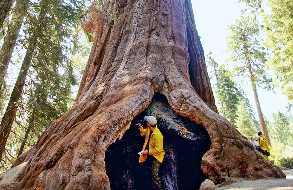 τραμπ-εναντίον-προέδρου-2195286