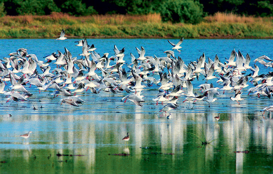 eλένη-ανδρεάδη-διευθυντρια-αειφορίας-2197670
