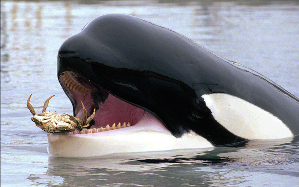 flashback-στην-9η-ιουνίου-2194050