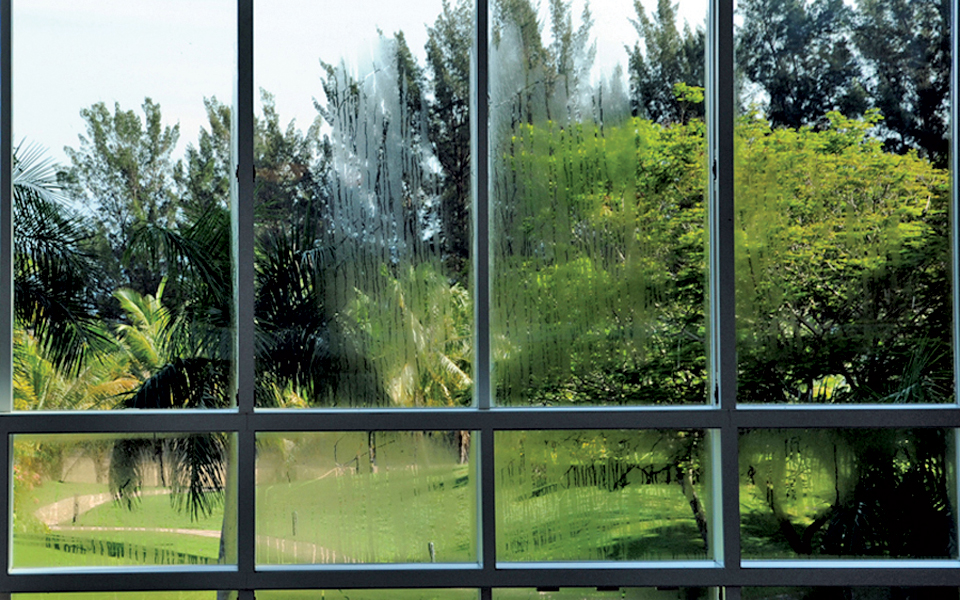 τα-δωρεάν-της-εβδομάδας-2197901