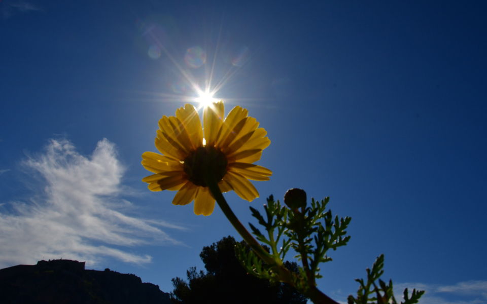 θερινό-ηλιοστάσιο-ξεκίνησε-και-επίση-2196132