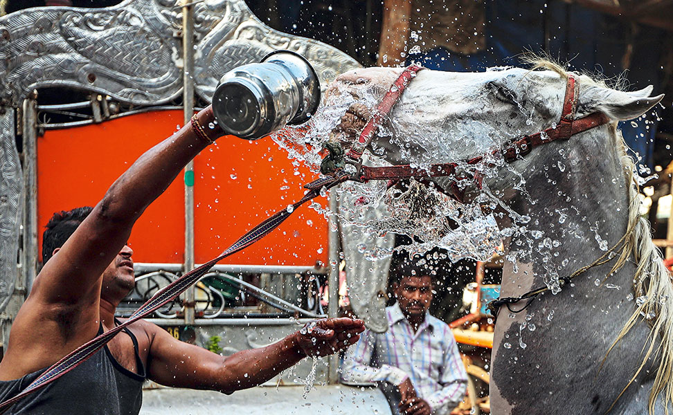 ασ-το-καμουτσίκι-απ-το-χέρι-2195284