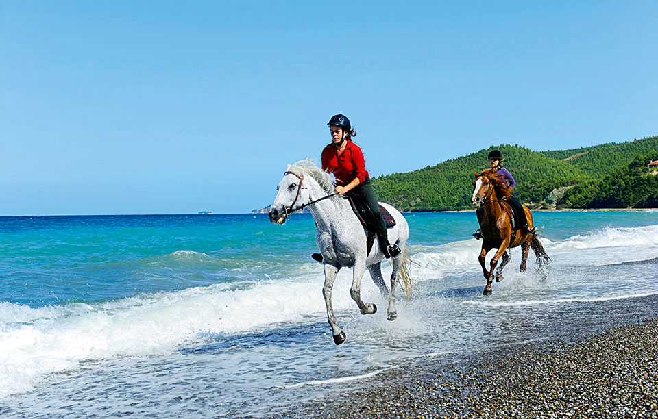 βορειοανατολική-εύβοια-το-πράσινο-συ-2197033