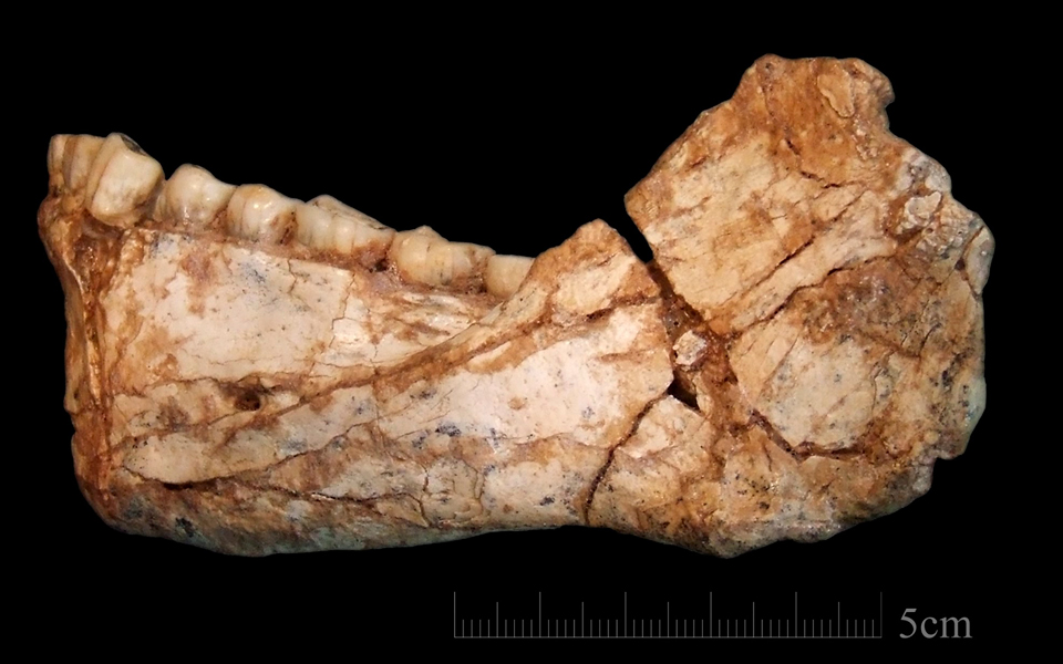 μαρόκο-βρέθηκαν-τα-παλαιότερα-απολιθ-2193993