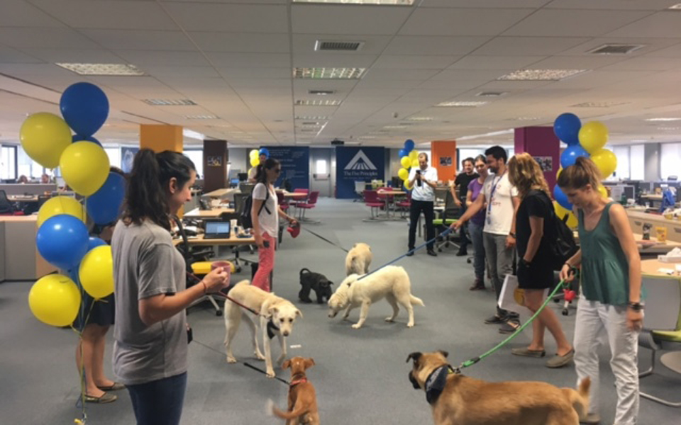 τώρα-ο-σκύλος-είναι-και-ο-καλύτερος-σ-2196374