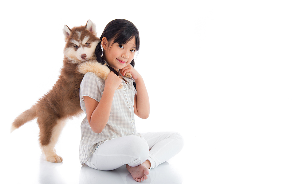 ο-καπιταλισμός-σώζει-σκύλους-2193992