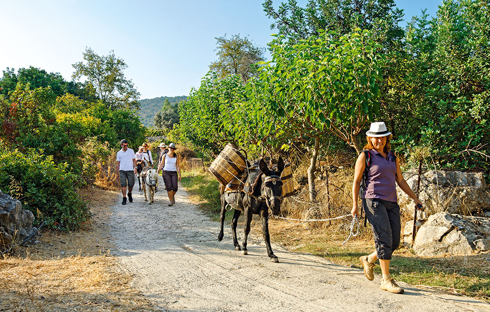 νομός-ρεθύμνου-με-τον-αέρα-του-ψηλορεί-2201974