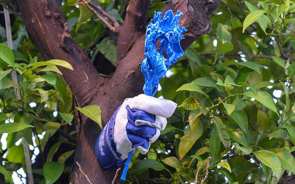 ο-κήπος-του-μεγάρου-κάνει-ένα-άνοιγμα-2198911