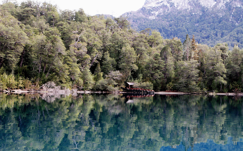 εξόντωση-της-άγριας-ζωής-2199678