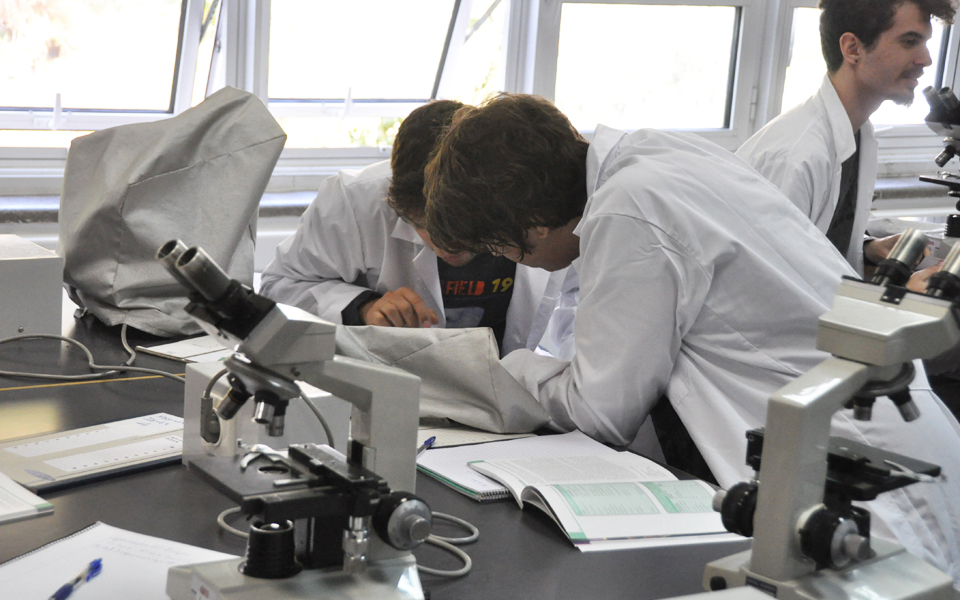 ταλαιπωρία-μετά-θάνατον-για-μη-ταυτο-2201841