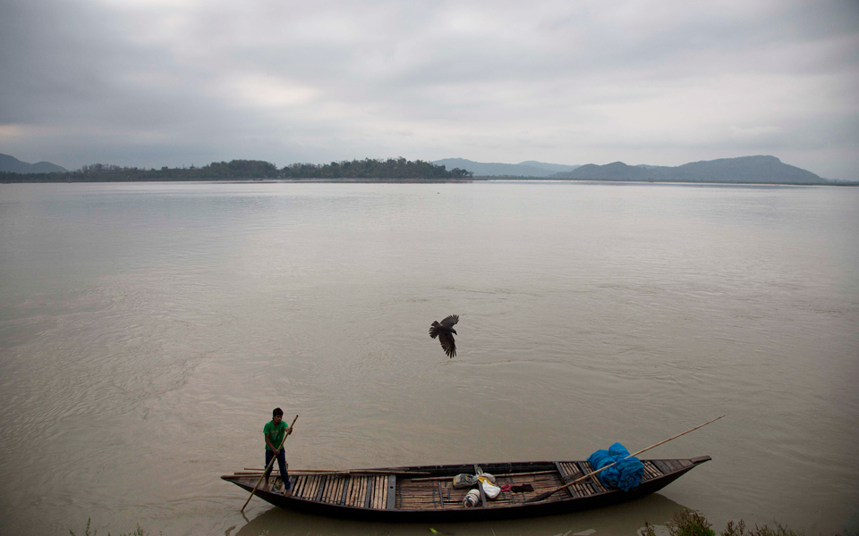 λαχταρώντας-πουλιά-φυτεύουν-δένδρα-2202497