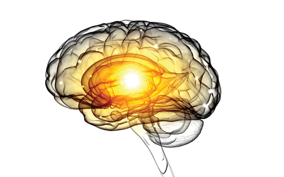 περισσότεροι-από-3-000-εγκέφαλοι-στα-χέρι-2200999