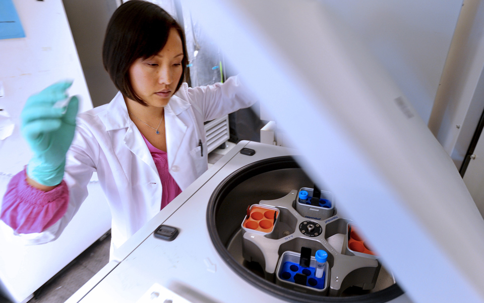 έρευνα-για-κοινές-θεραπείες-κατά-καρκ-2201541