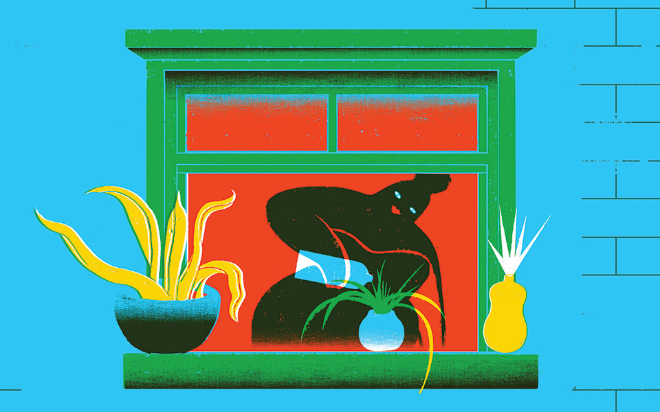 εικονογραφήσεις-για-βραβείο-2202743