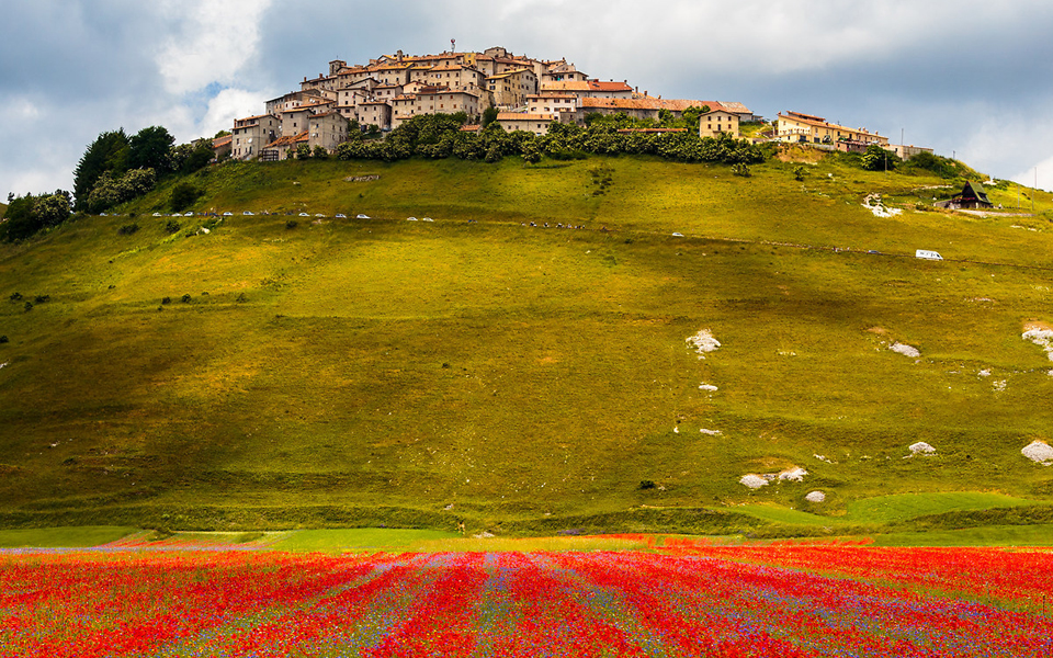 ξηρασία-πλήττει-την-ανθοφορία-στην-ιτ-2200732